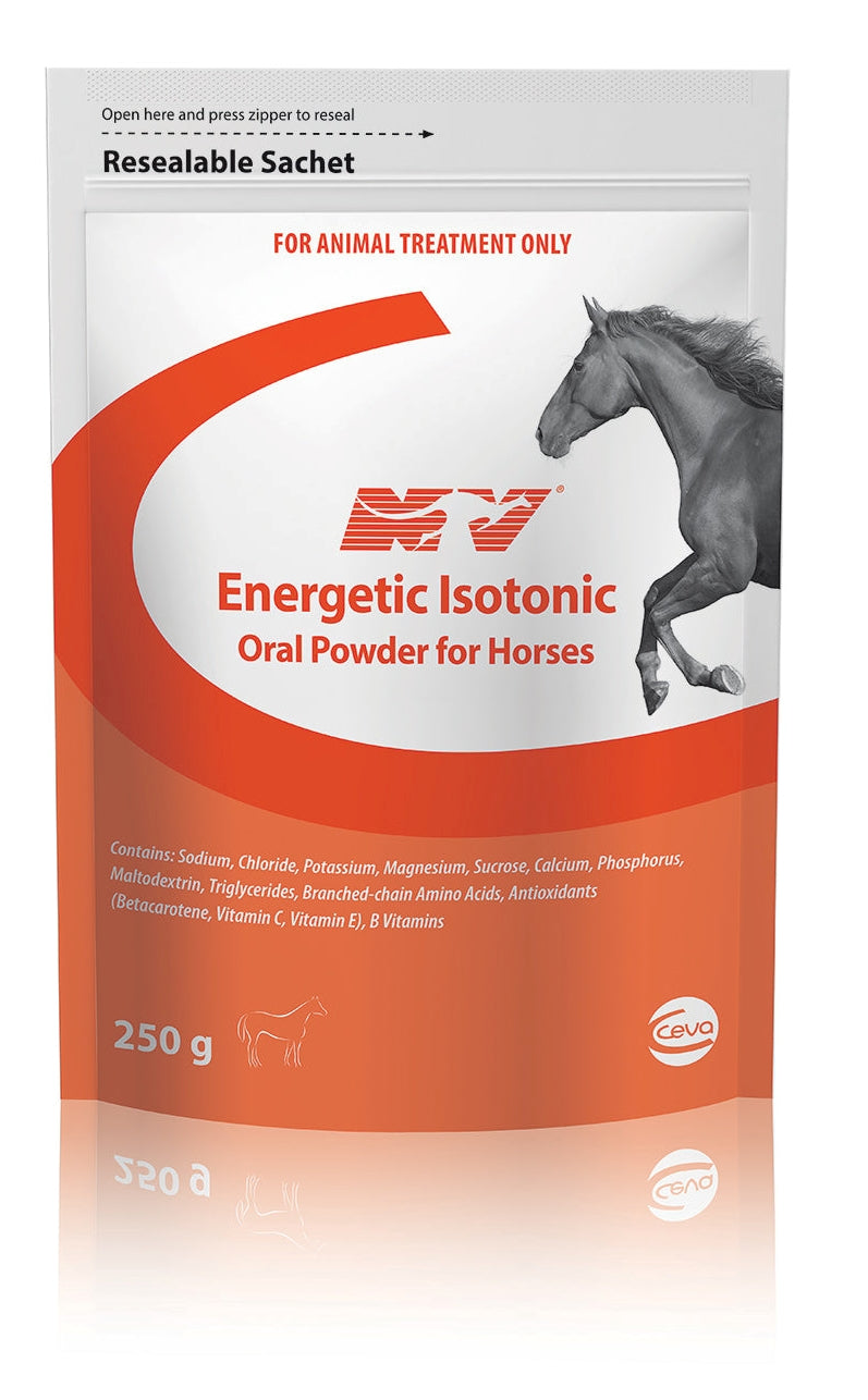 ENERGETIC ISOTONIC DRENCH 250G
