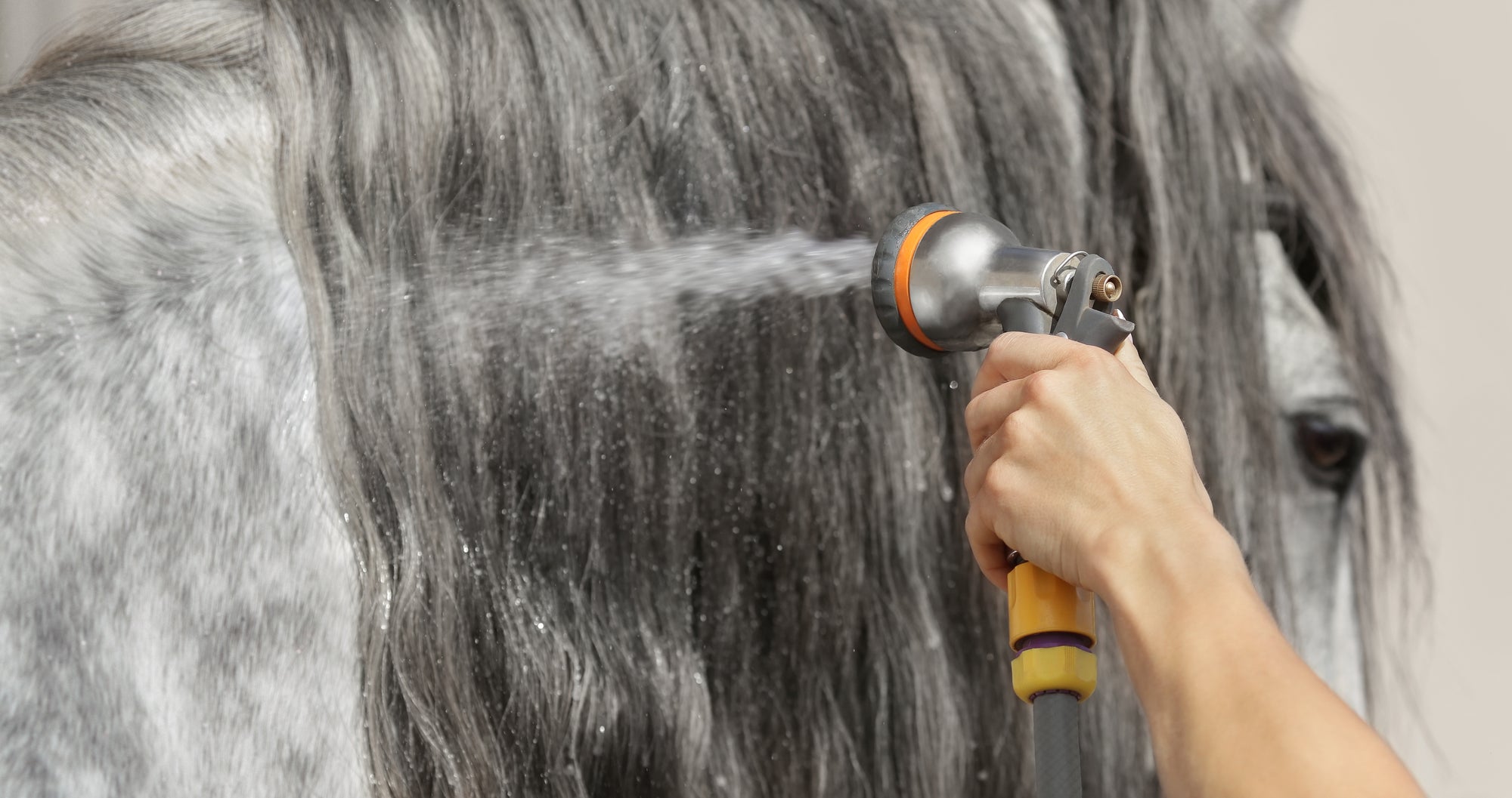The HEAT is on! Keep your horse cool & comfortable!