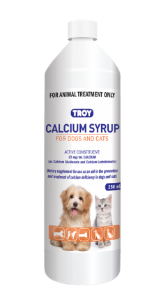 Troy Calcium Syrup