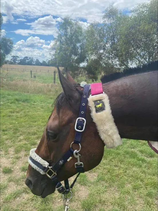 Equistitch Windsucking Collar