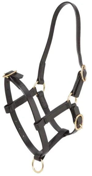 Zilco PVC Foal Halter