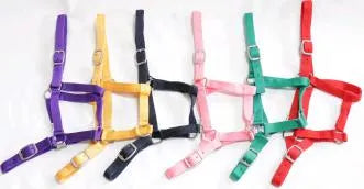 Eureka Halter