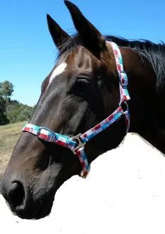 Eureka Halter