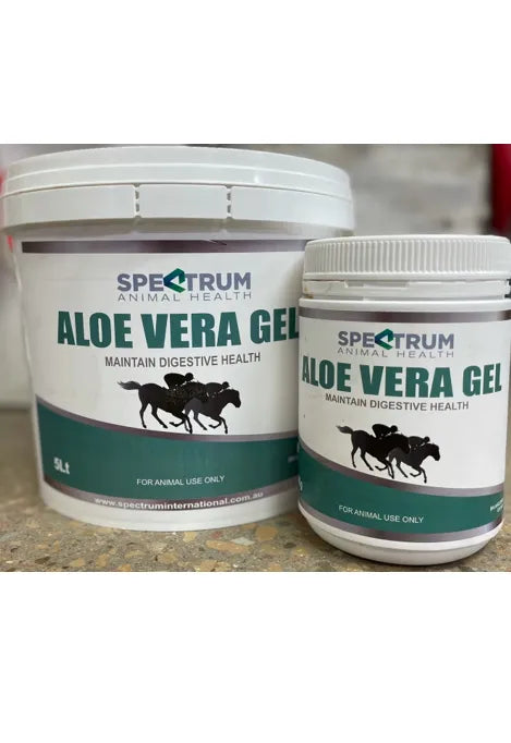 Aloe Gel