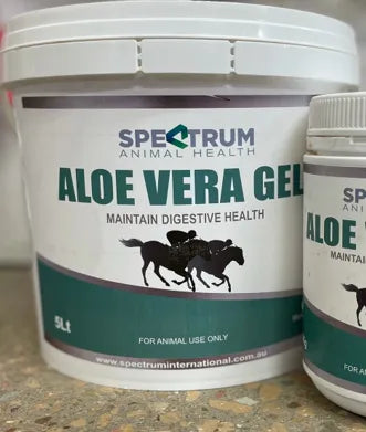 Aloe Gel