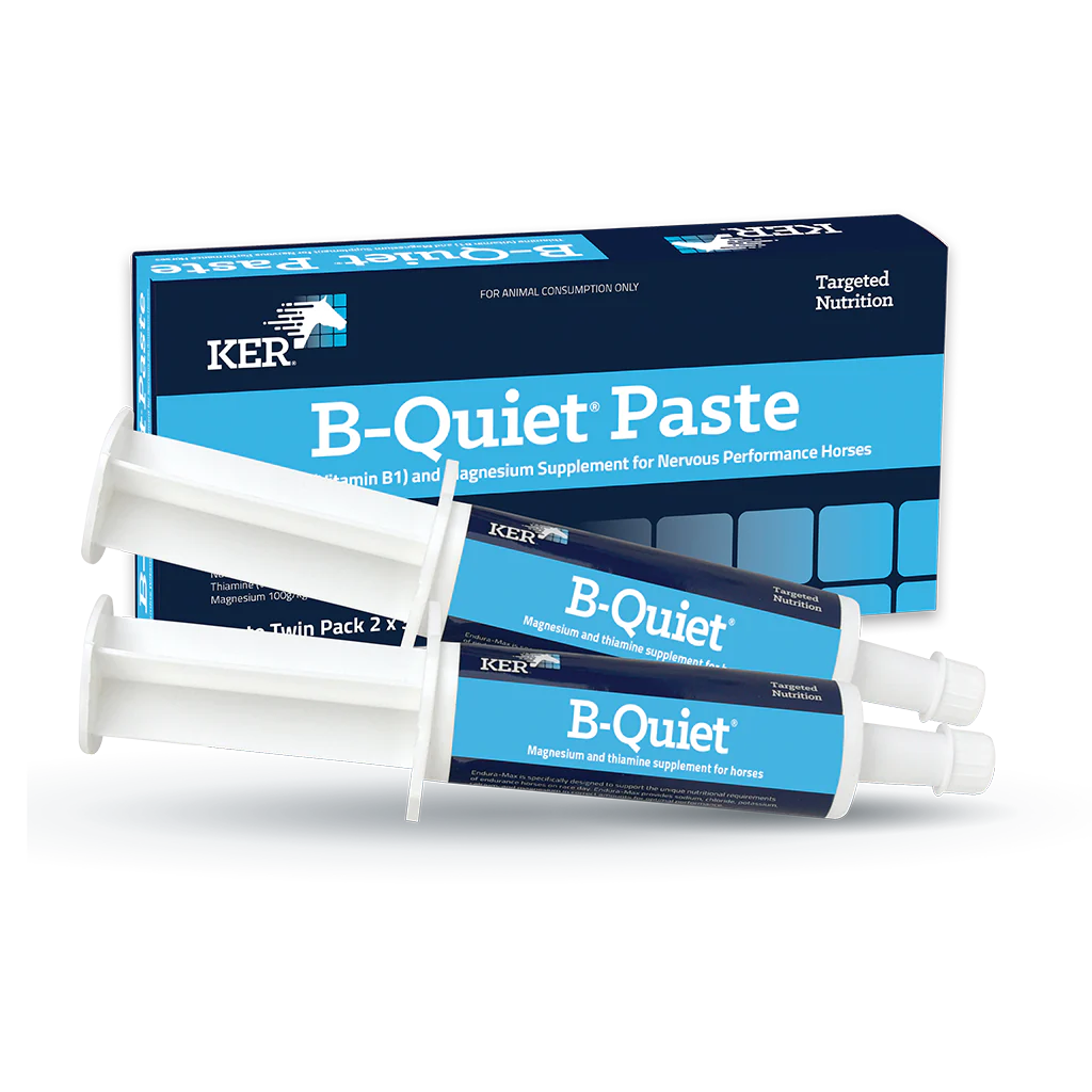 KER B-Quiet Paste 30gm Twin Pack