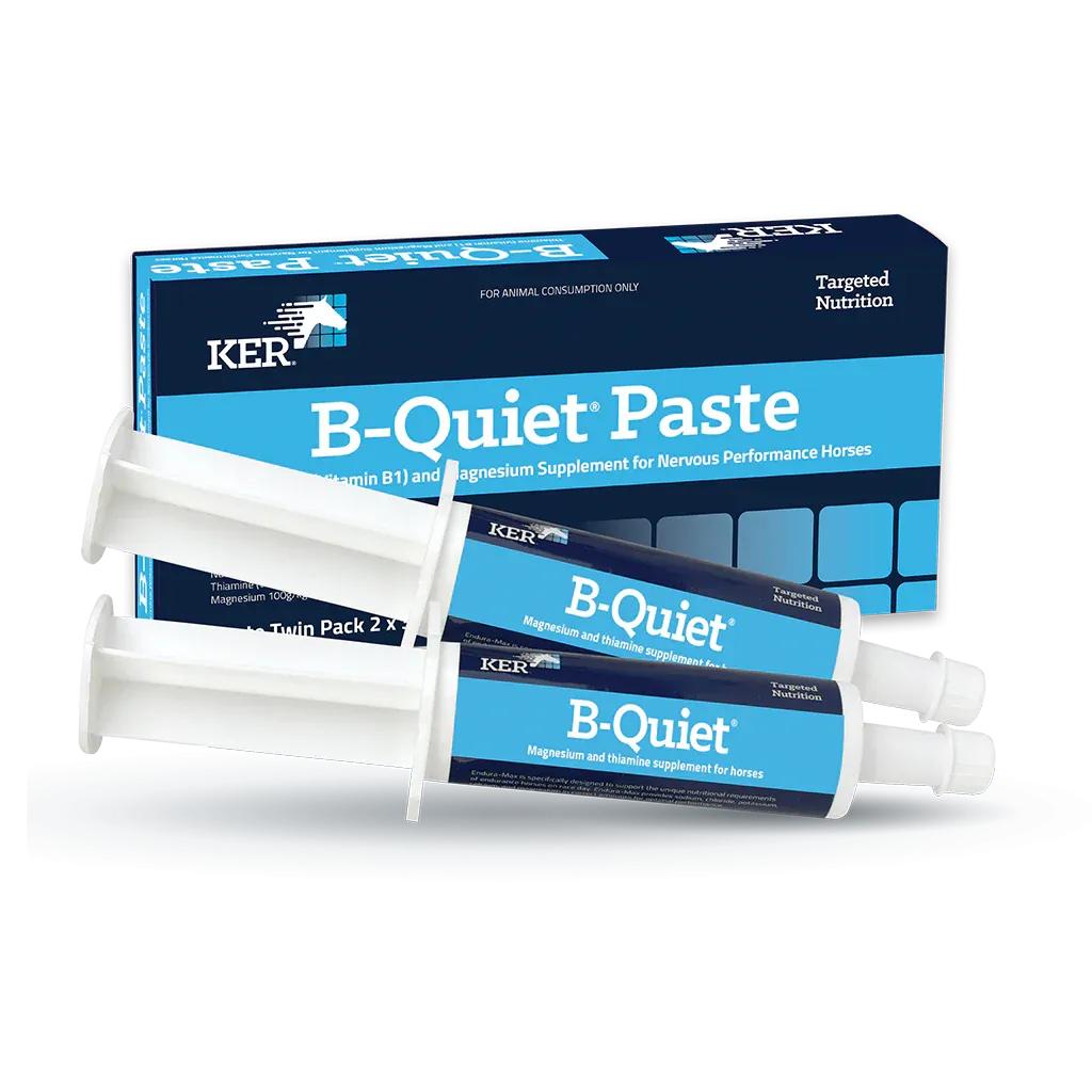 KER B-Quiet Paste 30gm Twin Pack