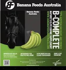 B Complete Equine Supplement