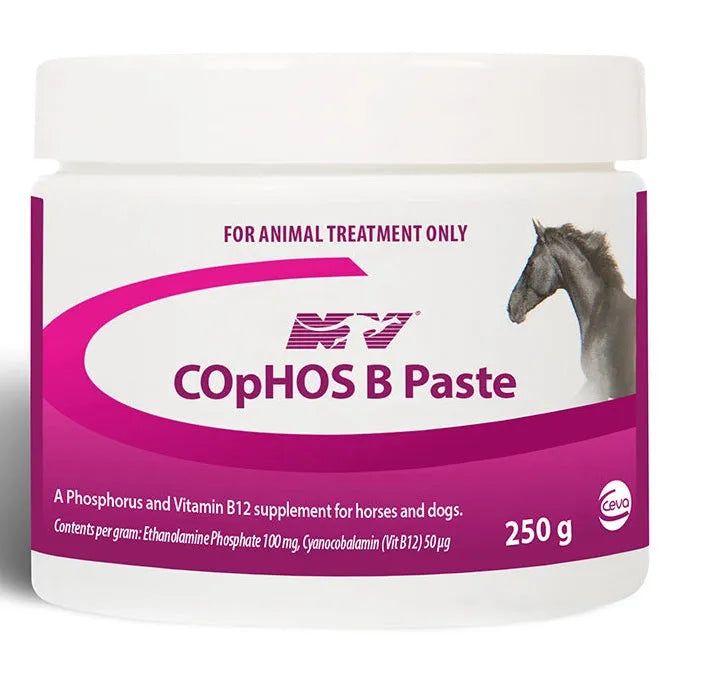 Cophos B Paste 250ml