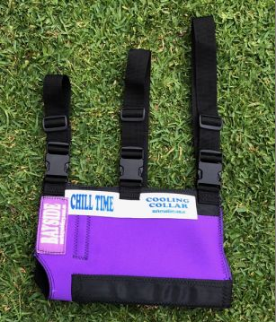 Chill Time Cooling Collar