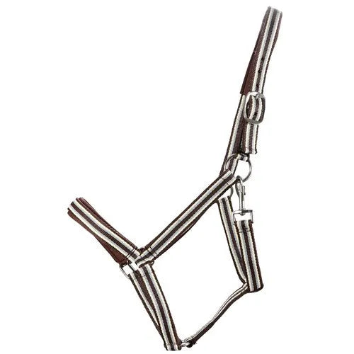 Halter With Neoprene Cob Navy/Blue