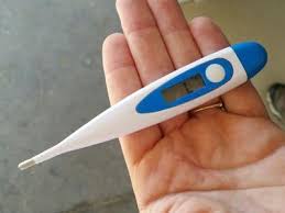 DIGITAL THERMOMETER FAST READ HARD TIP