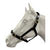 Eureka PVC Halter 1 Inch with Brass Buckles