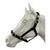 Eureka PVC Halter 1 Inch with Brass Buckles