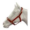 Eureka PVC Halter 1 Inch with Brass Buckles