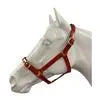 Eureka PVC Halter 1 Inch with Brass Buckles