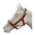 Eureka PVC Halter 1 Inch with Brass Buckles