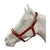 Eureka PVC Halter 1 Inch with Brass Buckles
