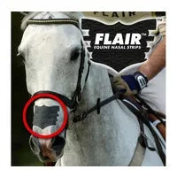 Nasal Flair Strip - Single