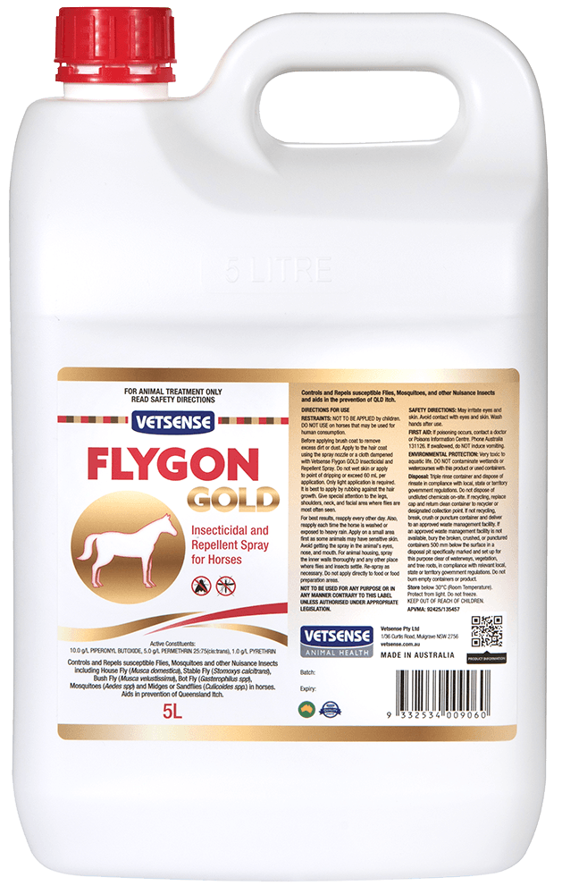 Flygon