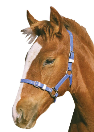 SHOWCRAFT FOAL/MINI PVC HALTER