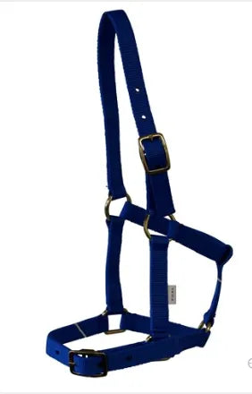 FOAL HALTER W BUCKLES