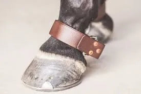 Hobble Straps PVC Brown