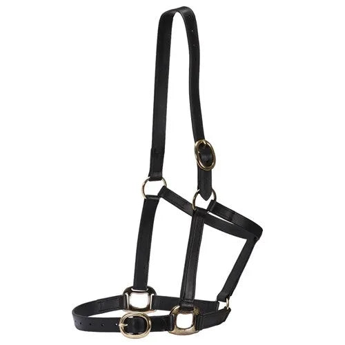 Horse Sense 1 Inch Pn Halter With Brass Fittings