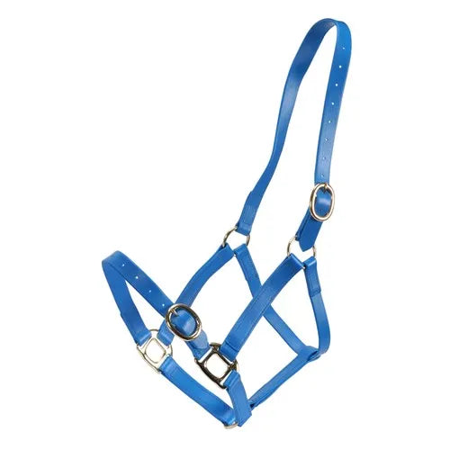 Horse Sense 1 Inch Pn Halter With Brass Fittings