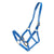 Horse Sense 1 Inch Pn Halter With Brass Fittings