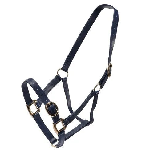 Horse Sense 1 Inch Pn Halter With Brass Fittings