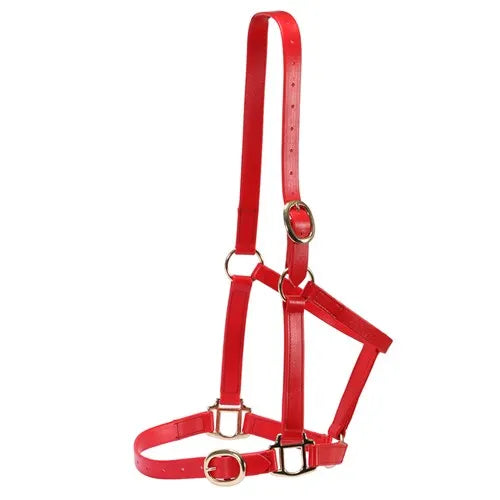 Horse Sense 1 Inch Pn Halter With Brass Fittings