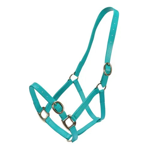 Horse Sense 1 Inch Pn Halter With Brass Fittings