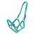 Horse Sense 1 Inch Pn Halter With Brass Fittings