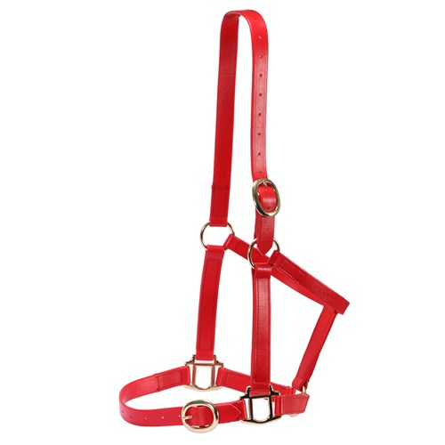 Horse Sense 1 Inch PN Halter With Brass Fittings