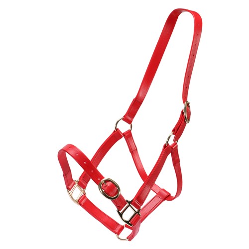 Horse Sense 1 Inch PN Halter With Brass Fittings
