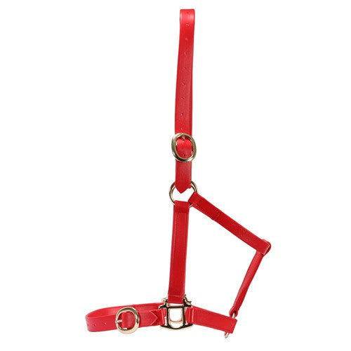 Horse Sense 1 Inch PN Halter With Brass Fittings