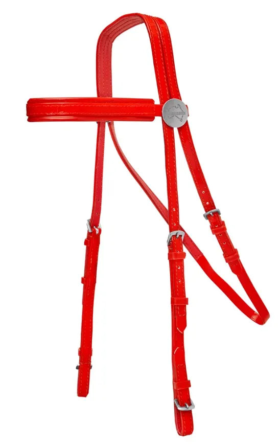 Horse Sense Race Bridle Head