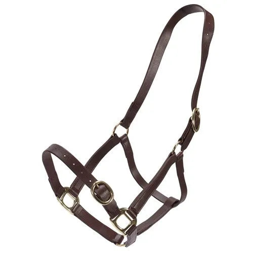 Horse Sense 1 Inch Pn Halter With Brass Fittings