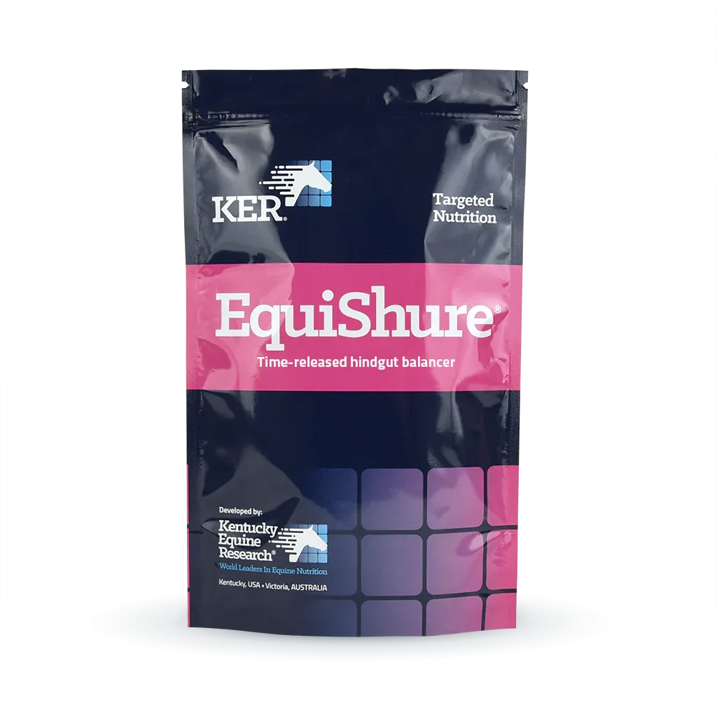 KER Equisure