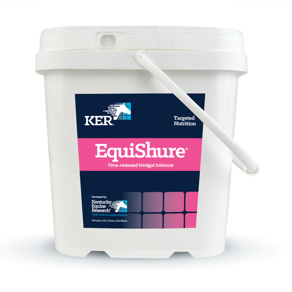 KER Equisure