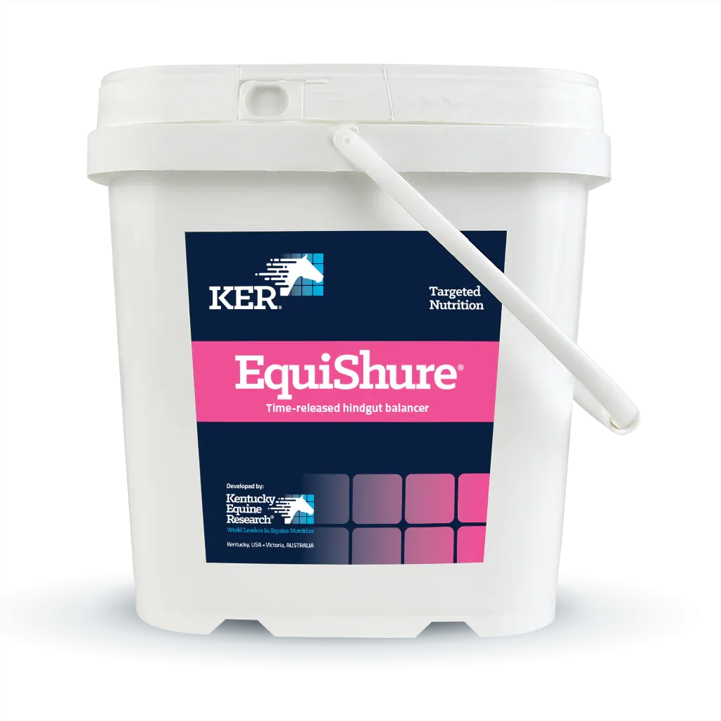 KER Equisure