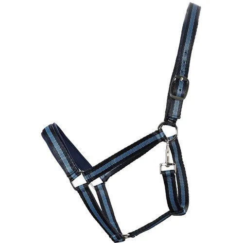 Halter With Neoprene Cob Navy/Blue