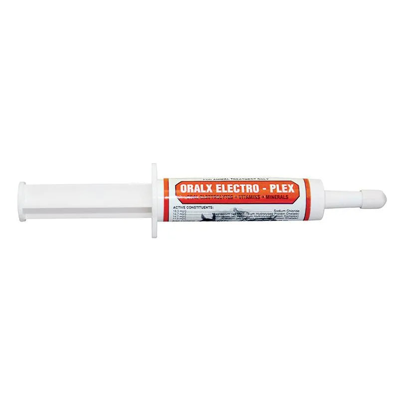 OralX Electroplex Paste 34gm