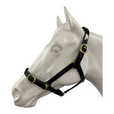 PVC halter 1 Inch With Brass Buckles