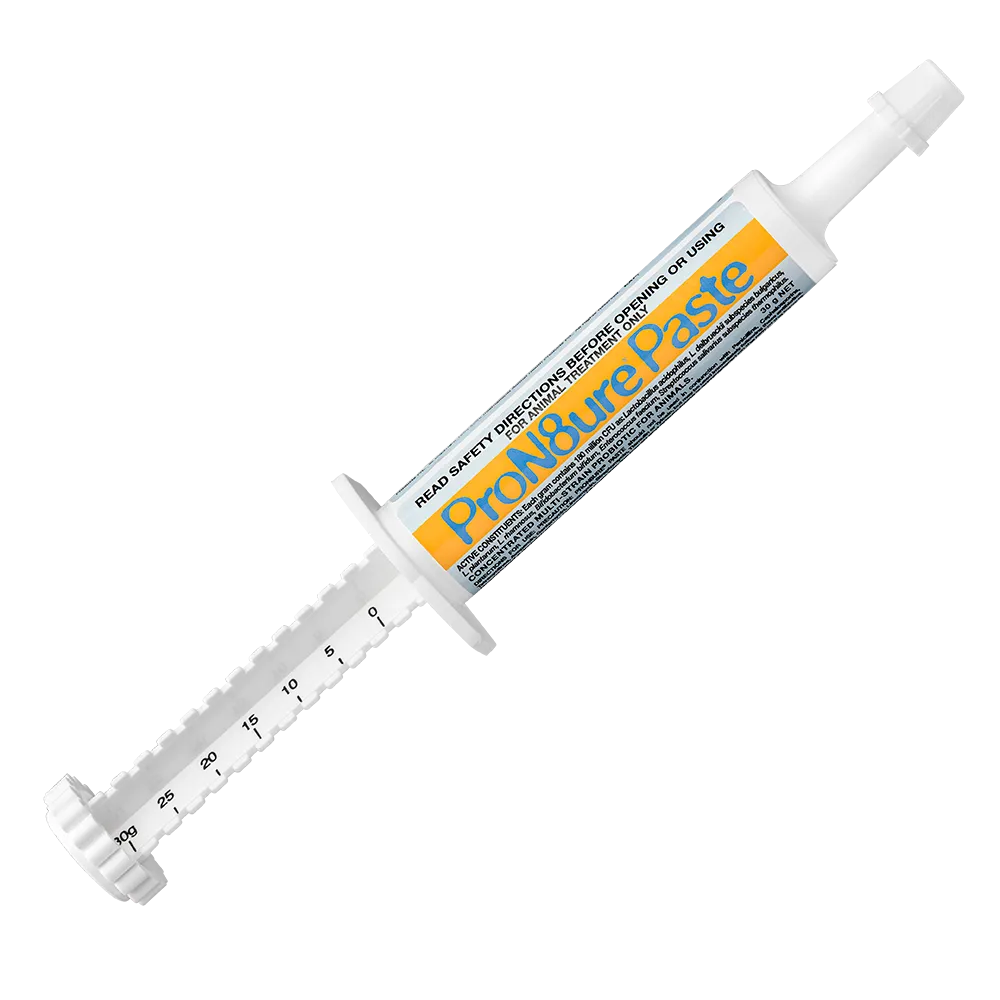 Pron8ure Paste 30gm