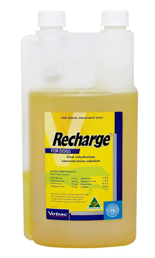 Recharge Greyhound 1 Litre