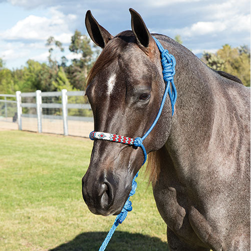 *Pro-Choice Beaded Rope Halter With Lead