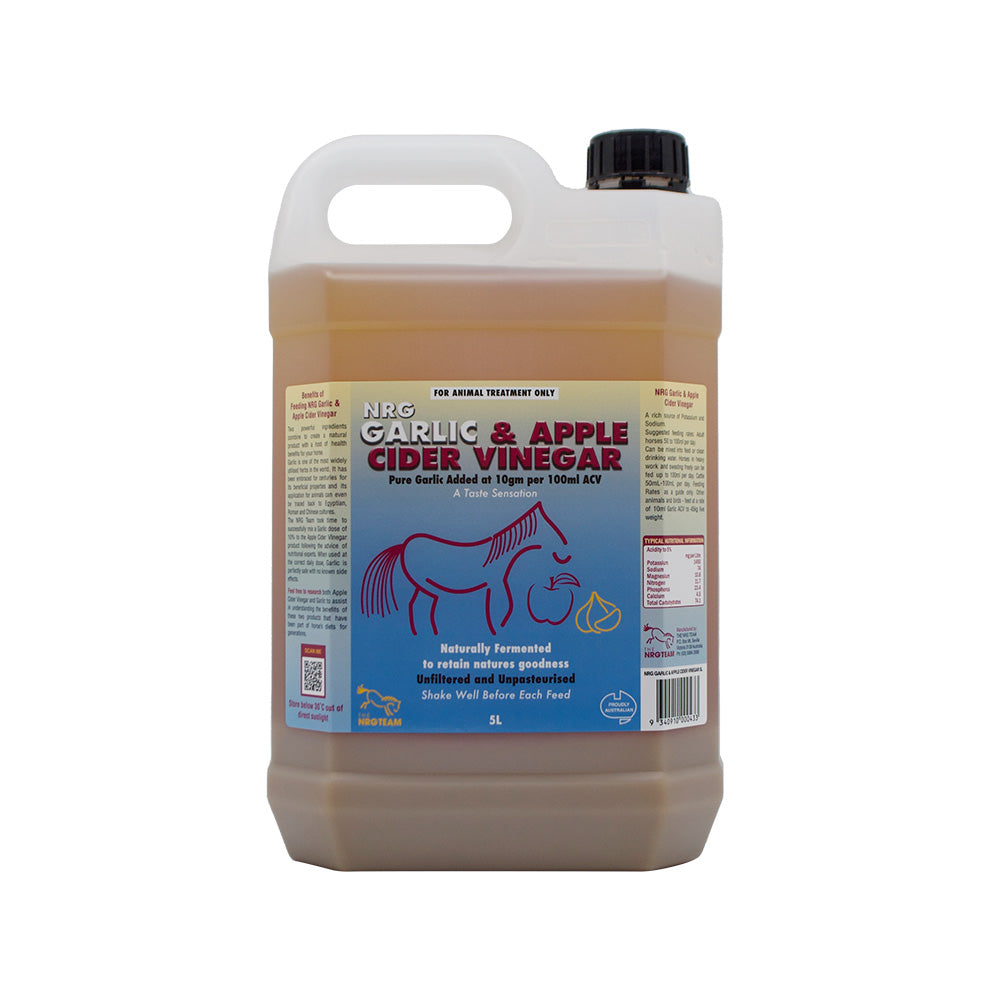 Apple Cider Vinegar with Garlic 5L