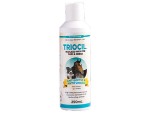 Triocil Antiseptic and Antifungal Shampoo 250ml